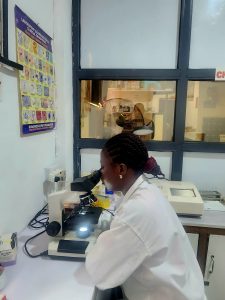 Services img 20251110 wa0027